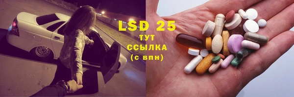 прущий лед Ельня
