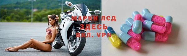 СК Заводоуковск
