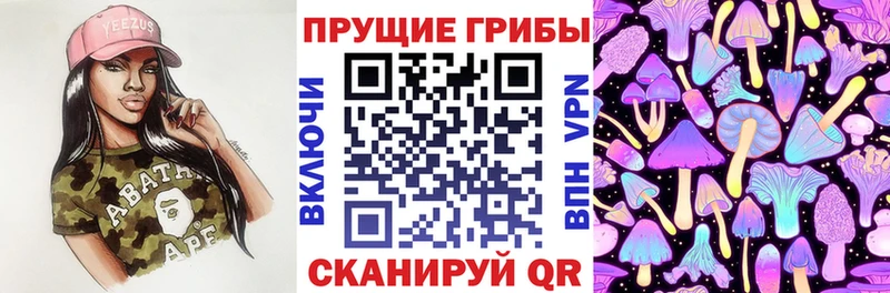 shop наркотические препараты  хочу   Дербент  Псилоцибиновые грибы мухоморы 